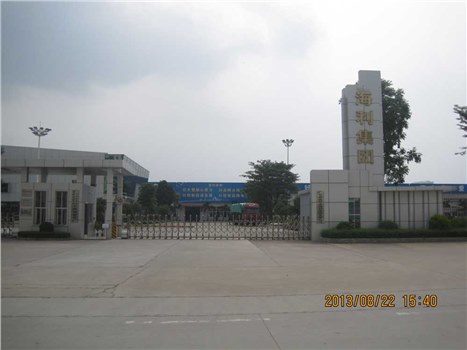 广东省化州市海利集团有限公司